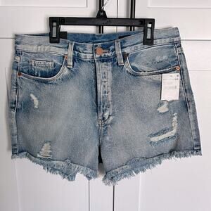 Blank NYC Blue Distressed Jean Shorts - NWT - Sz 30